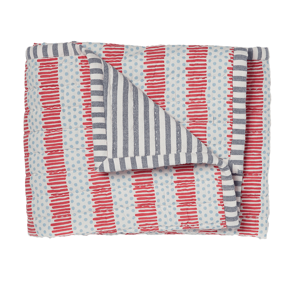 Blue/Red Quilted Nursery Blanket